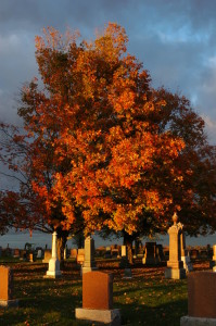 Greenbank Cemetery at Dusk