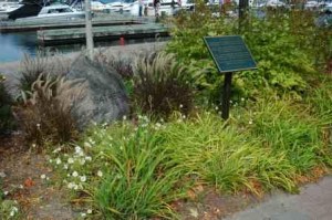 Irish Memorial in Peterborough, Ontario © Barbara Dickson