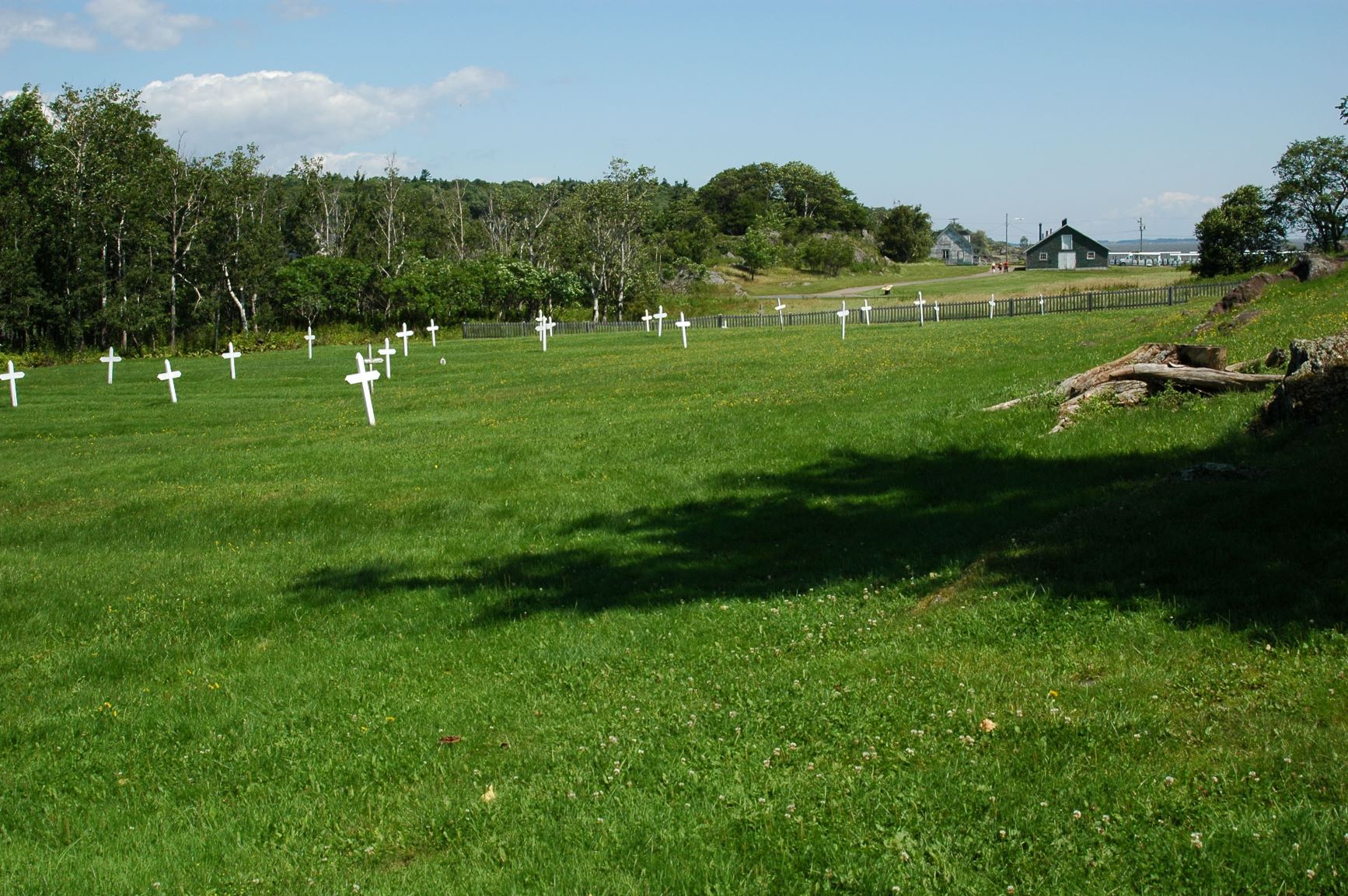 Rows of Crosses Mark 5,000 Irish Dead in 1847 at Grosse Île, Québec © Barbara Dickson